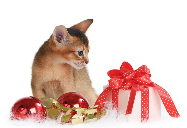 Cute kitten with christmas balls and gift box — Stock Photo, Image