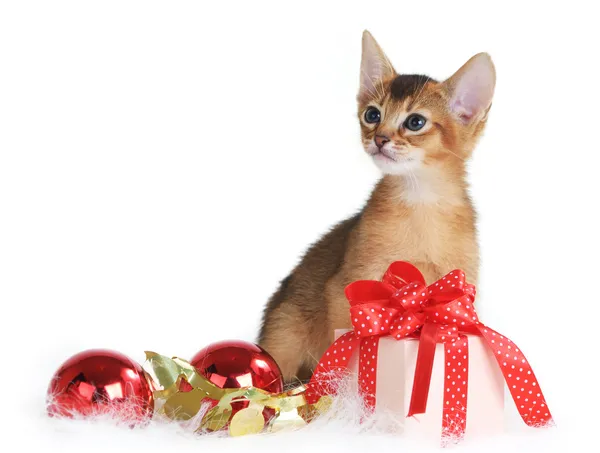 Cute kitten with christmas balls and gift box — Stock Photo, Image