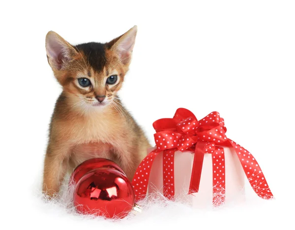 Lindo gatito con bolas de Navidad y caja de regalo — Foto de Stock