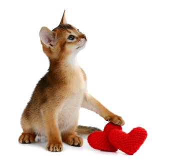 Valentine Tema yavru kedi ile izole kırmızı kalp