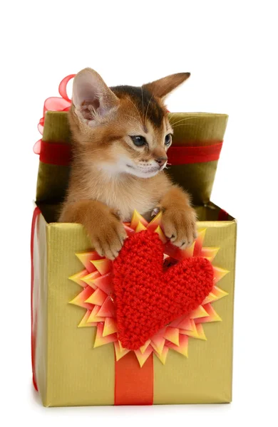 San Valentín gatito tema en una caja de regalo —  Fotos de Stock