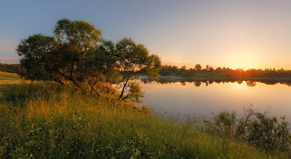 Morning Sun — Stock Photo, Image