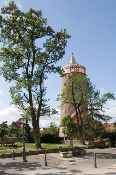 Water Art Bautzen — Stockfoto