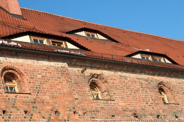 Замок Бельциг 04 — стоковое фото