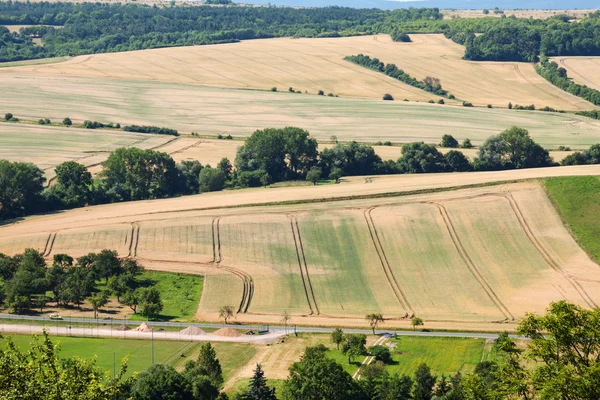 Fields at Mühlberg — 图库照片