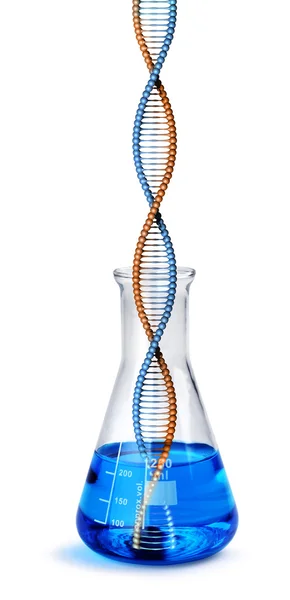 Hélice de DNA em copo de vidro labotatório — Fotografia de Stock