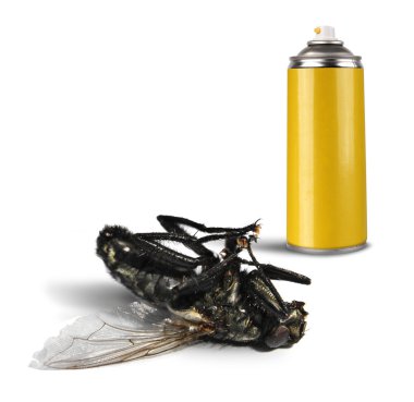ölü sinek böcek öldürücü sprey şişeyle