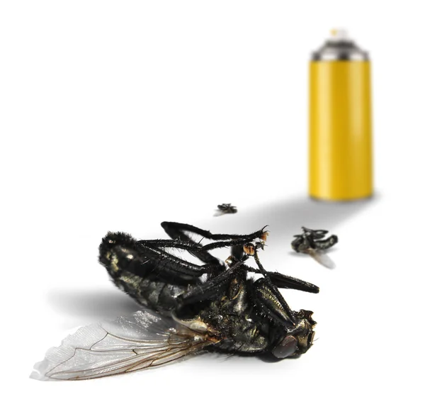 Frasco pulverizador de insecticida con moscas muertas —  Fotos de Stock