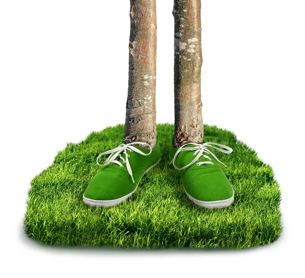 Green carbon footprint concept — Stock Photo, Image