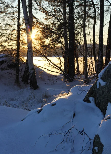 Vintern solnedgång lakeshore — Stockfoto