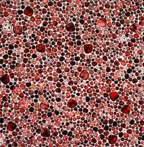 Barevné Kulaté Hrany Červené Oblázkové Kameny Mozaika Pozadí — Stock fotografie