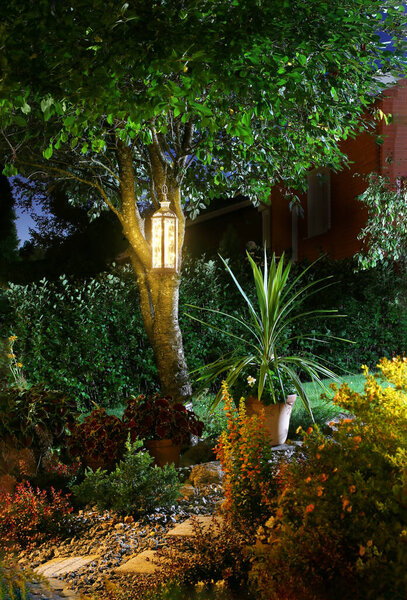 Illuminated home garden path patio plants and lantern in autumn evening dusk