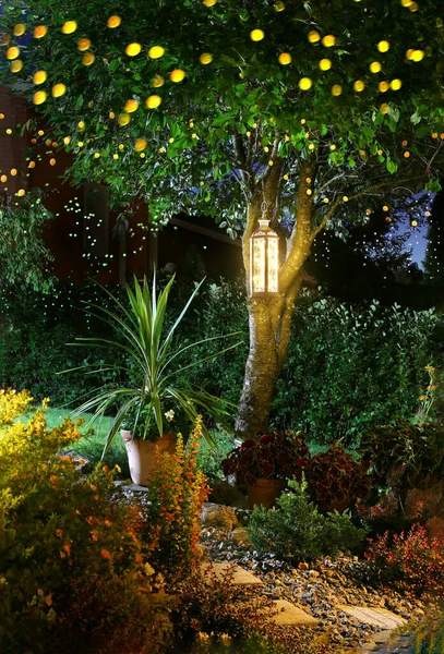 Home garden illumination autumn evening patio festive party lights