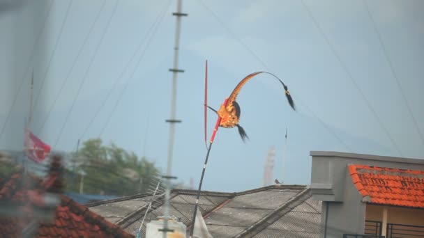 Traditionella balinesiska vindflöjel — Stockvideo