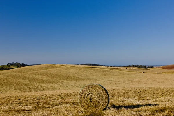 Circulaire hooi Baal in een veld — Stockfoto