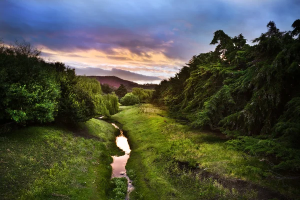 River flowing through a lush valley — Stock Photo, Image