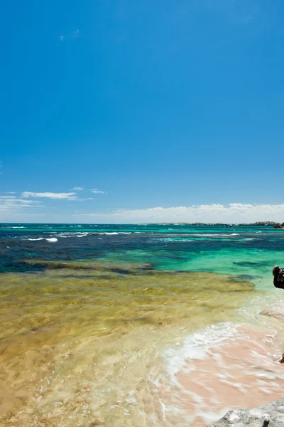 Tropical seashore background — Stock Photo, Image