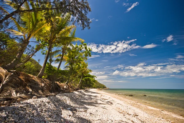 Deserted tropical beach — Stock Photo, Image