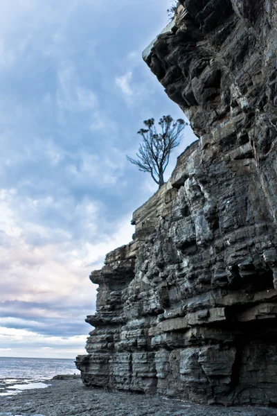 Непрочный скалистый скальный пласт у моря — стоковое фото