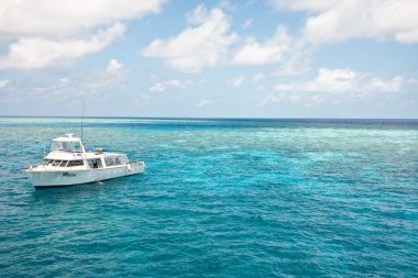 great barrier reef dalış tekneden