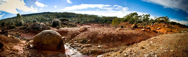 Australian desert landscape — Stock Photo, Image