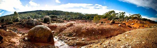 Australische outback woestijn — Stok fotoğraf