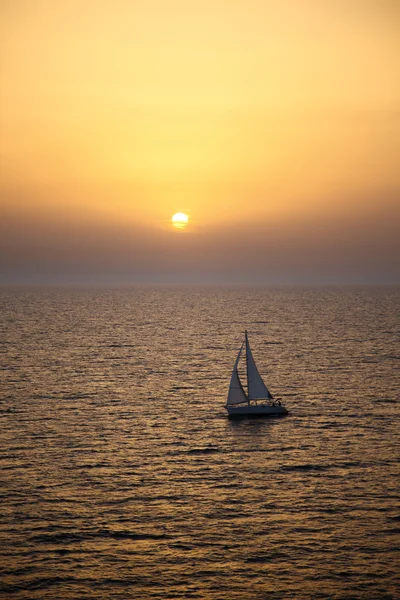 Yacht som seiler ved solnedgang – stockfoto