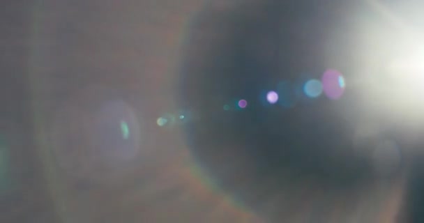 Light Leak Cine Lens Flares — стоковое видео