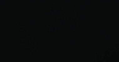 Işık Sızıntısı Cine Lens Fişekleri