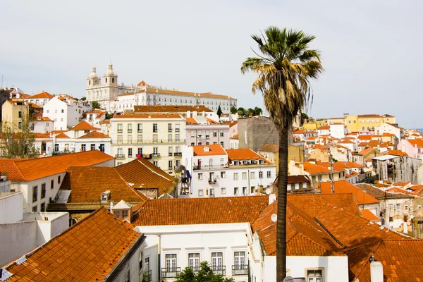 Palm Alfama, Lisszabon ősi — Stock Fotó