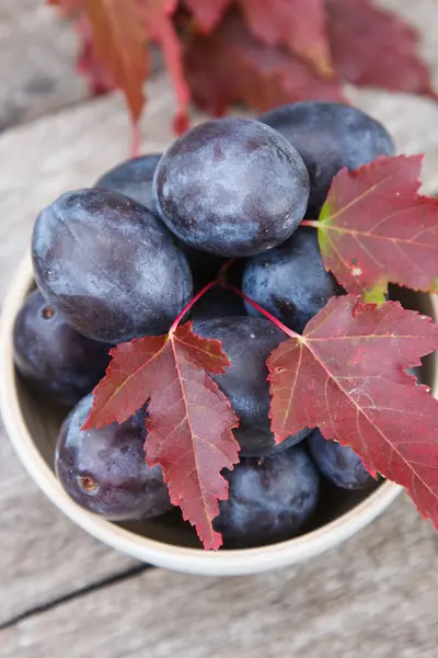 Fresh plums — Stock Photo, Image