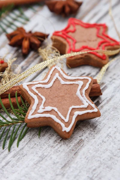 Gingerbread cookie — Stock Photo, Image