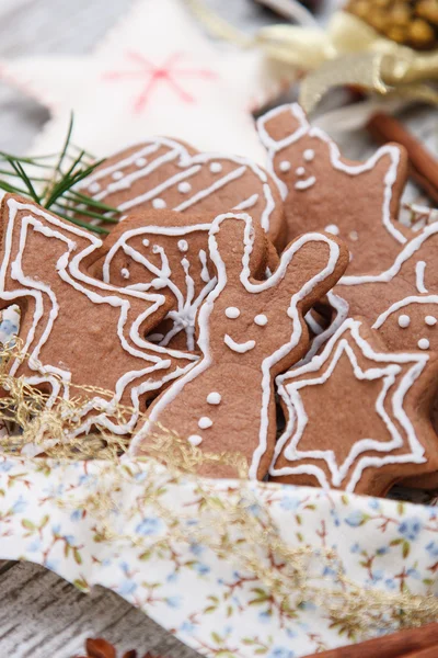 Gingerbread cookie — Stock Photo, Image