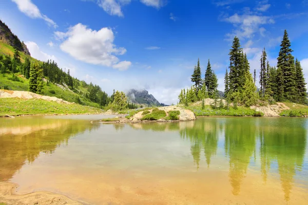 Increíble lago de montaña con color verde brillante, arena dorada y pinos . —  Fotos de Stock