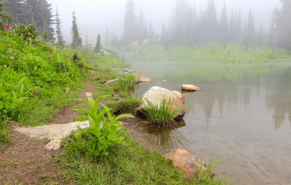 Lago di montagna nella nebbia con rocce e fiori . — Foto Stock