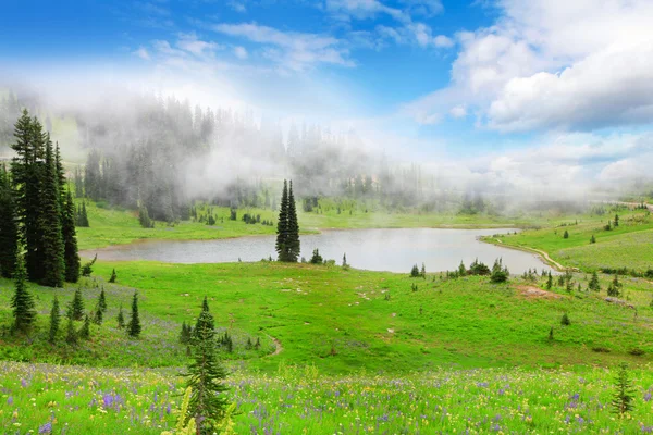 Paisaje verde valle con lago en niebla con flores silvestres . —  Fotos de Stock