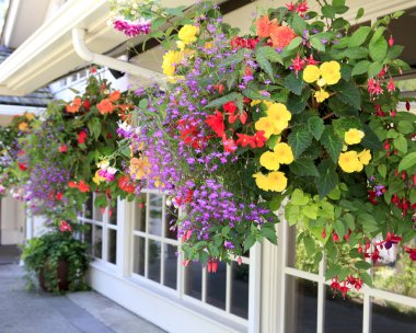 Çiçekli evi windows dışındaki birçok asılı sepetler.