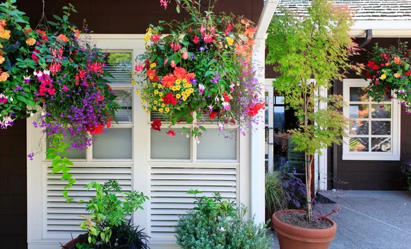 Flores en las cestas colgantes con ventanas blancas y pared marrón . — Foto de Stock