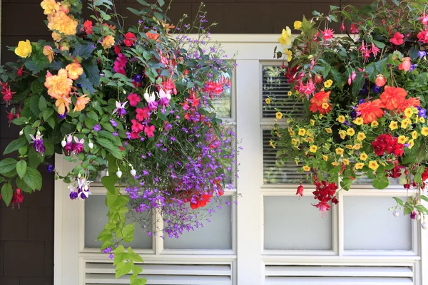 Fiori in cesti appesi con finestra bianca e parete marrone . — Foto Stock