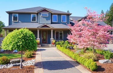 Grey lareg luxury house with spring blooming trees. clipart