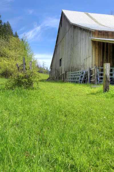 Old large shed with green spring landscape and fence. — Stock Photo, Image