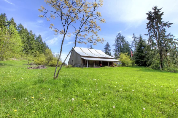 Agriturismo di campagna paesaggio verde con tettoia e alberi . — Foto Stock