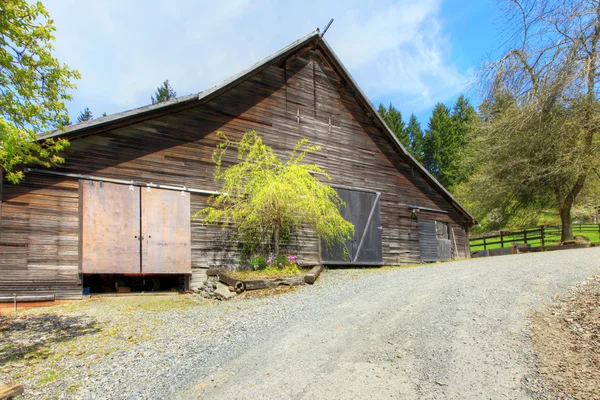 Old large shed with green spring landscape and fence. — Stock Photo, Image