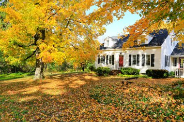 Classic New England American house exterior during fall. clipart