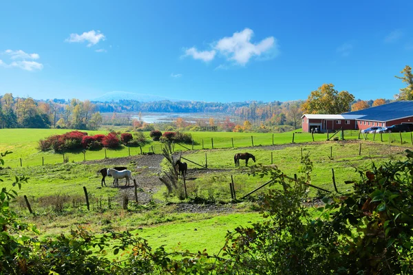 Dreamy ideal horse farm land with red barns and fall trees. — Stock Photo, Image