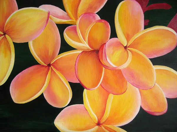 Oranje plumeria bloemen. schilderij. olieverf op doek. — Stockfoto