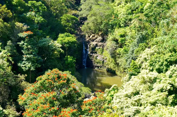 Île de Maui cascade avec lac et jangles . — Photo