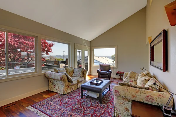 Large living room with two sofas and red rug. — Stock Photo, Image