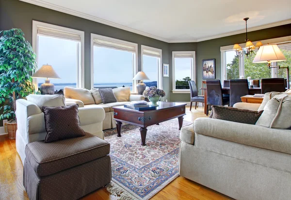 Classic green living room with nice furniture and many windows. — Stock Photo, Image