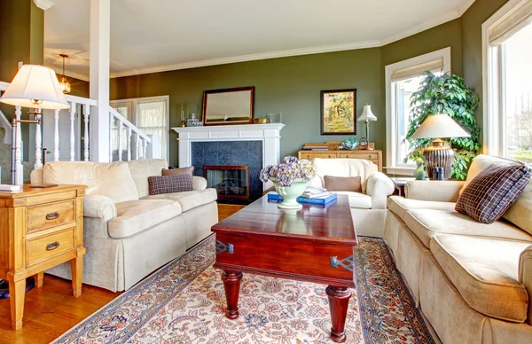 Klassisch grünes Wohnzimmer mit schönen Möbeln und vielen Fenstern. — Stockfoto